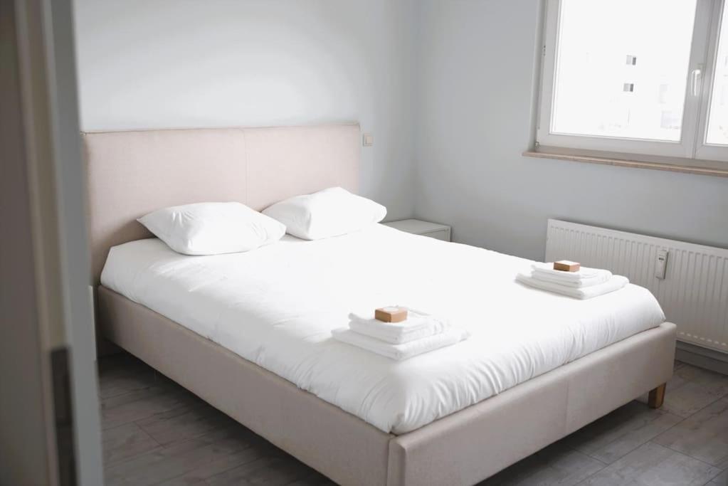 Charming Modern 2 Bedroom Apartment Alzingen Eksteriør bilde