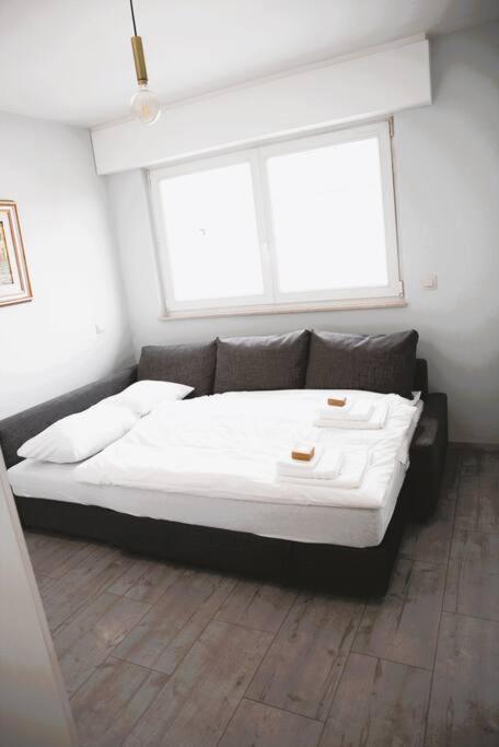 Charming Modern 2 Bedroom Apartment Alzingen Eksteriør bilde